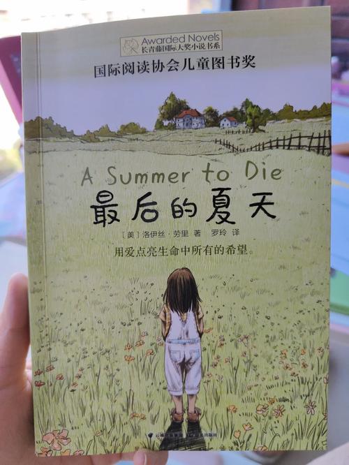 最后的夏季如何下载安装？详细步骤图文解说