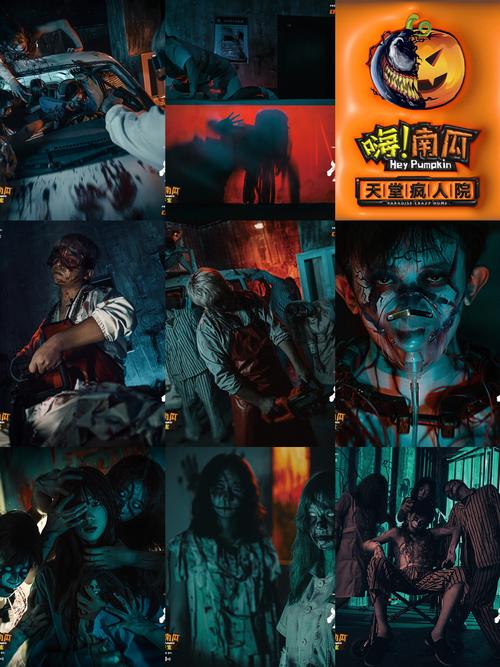 恐影迷在哪里可以看？推荐几个免费高清的观看渠道！