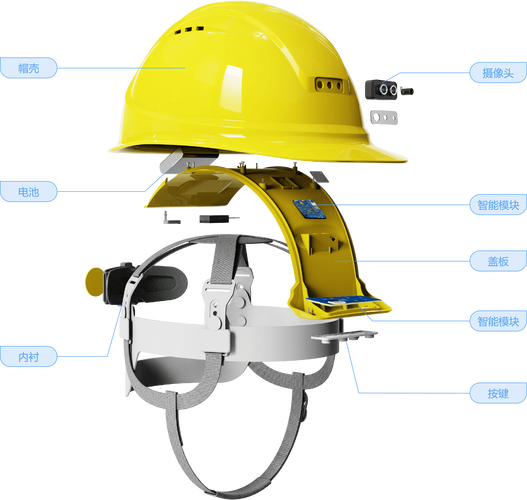 安全帽的发明是受到什么动物的启发(揭秘动物智慧如何保护我们)！