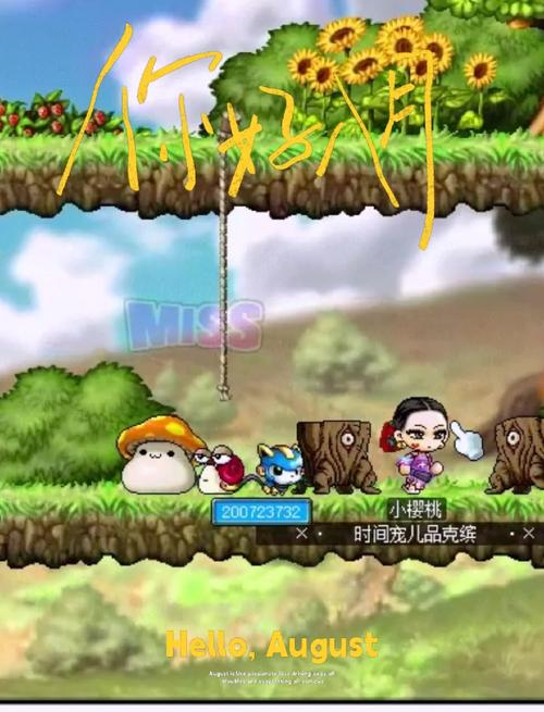 冒险岛单机版和联机版有啥区别？对比之后再选择！