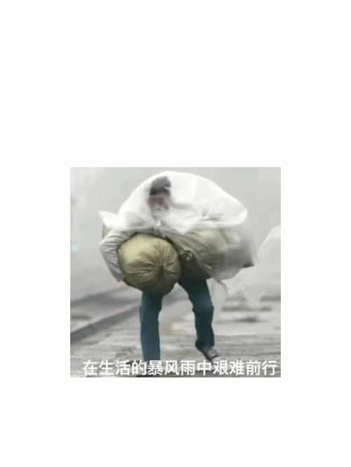 我站在风雨中不倒下,教你如何快速调整心态!