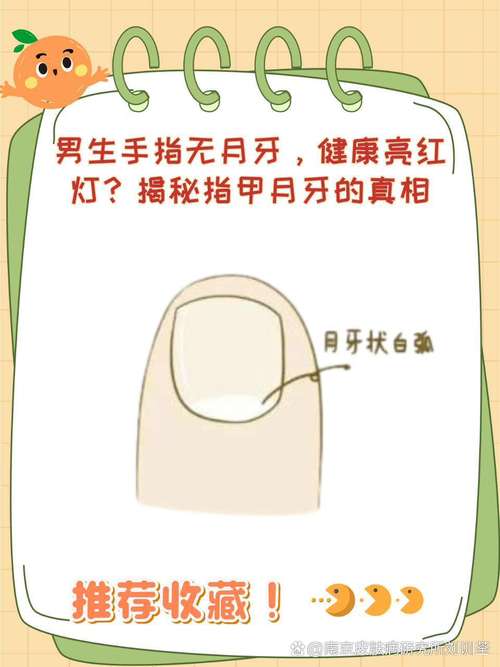 指甲月牙少健康影响(必知小科普全知道！)