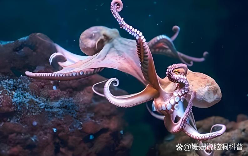 章鱼搜索有哪些强大功能？这5个实用功能必须知道！