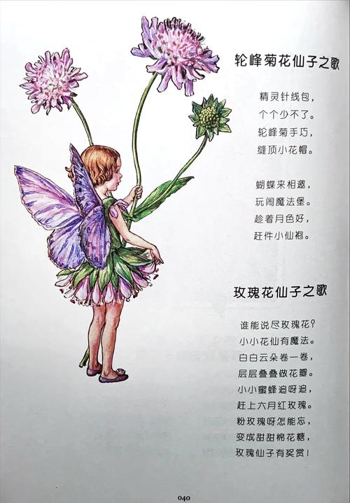 想看风花仙子去哪里看？这几个平台最全！