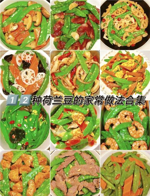 新手学做饭用好豆菜谱怎么样？从零开始轻松掌握烹饪技巧！