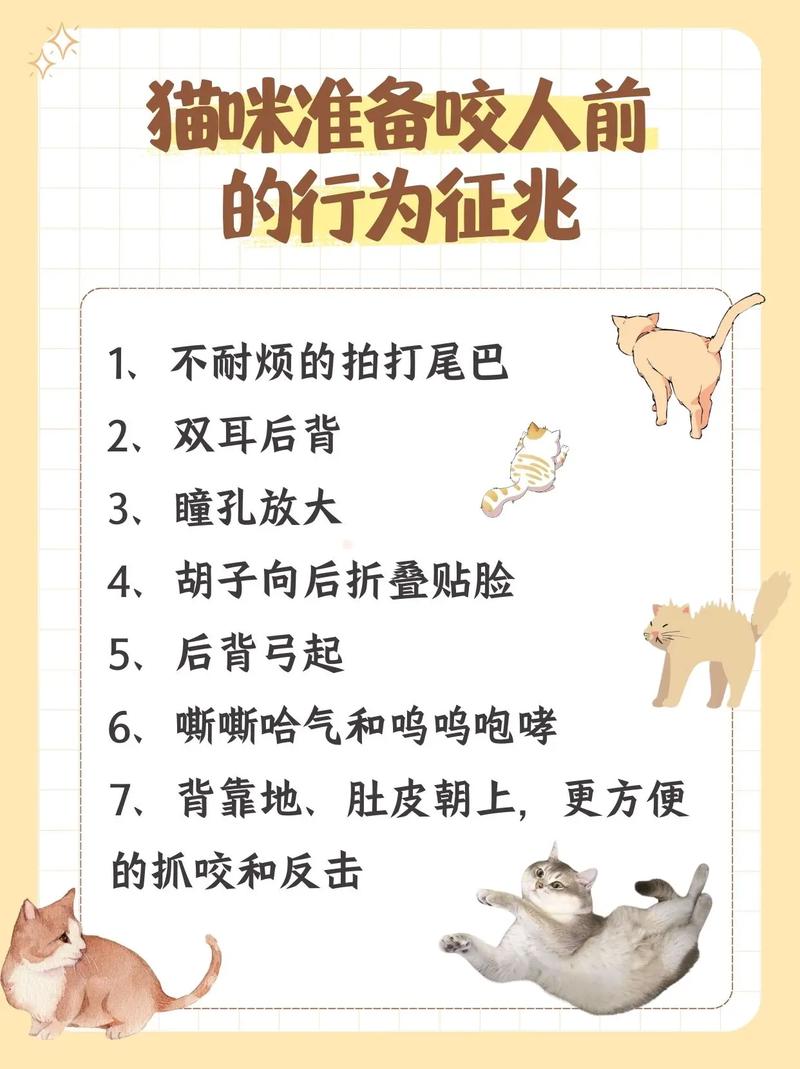 坏坏猫老是咬人怎么办？教你3招快速制服它不再调皮！