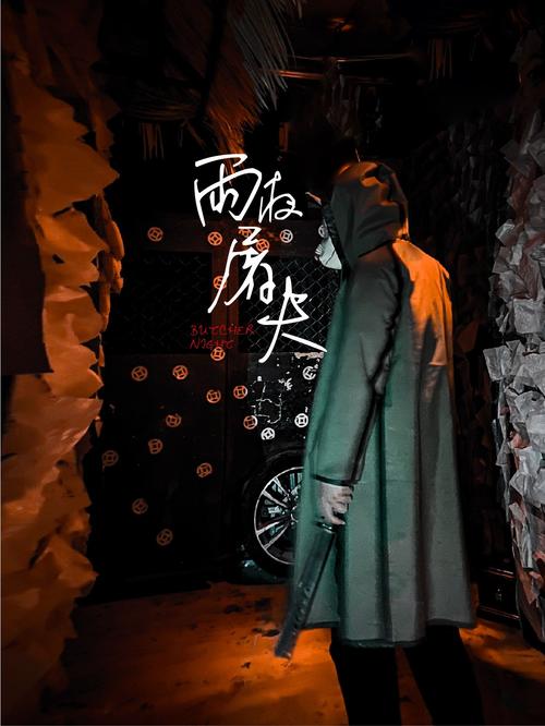 电影匕首雨到底讲了什么？深度解析剧情真相！