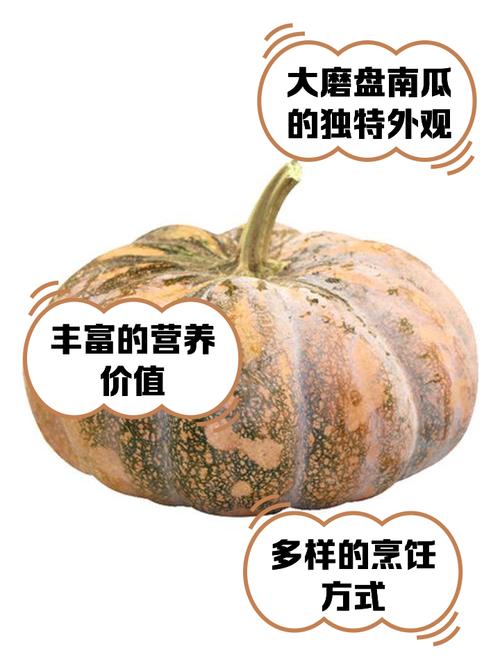 捣蛋南瓜的由来是什么？背后的万圣节传说故事大揭秘！