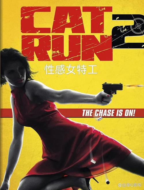 你看过炸弹女的电影吗？看完你就知道有多震撼！