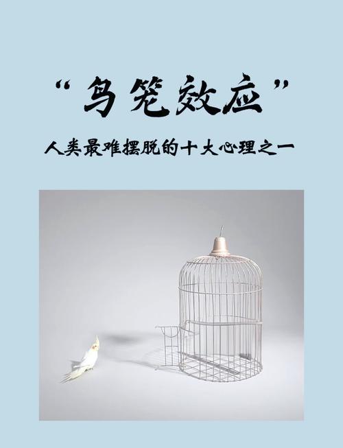 如何打破心之囚笼？心理专家教你走出自我设限的困境！