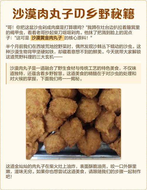 自制沙漠肉丸子教程(新手也能快速学会的做法)