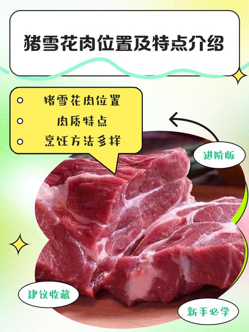 雪猪肉现在多少钱一斤？买贵了怎么才能避免被坑？