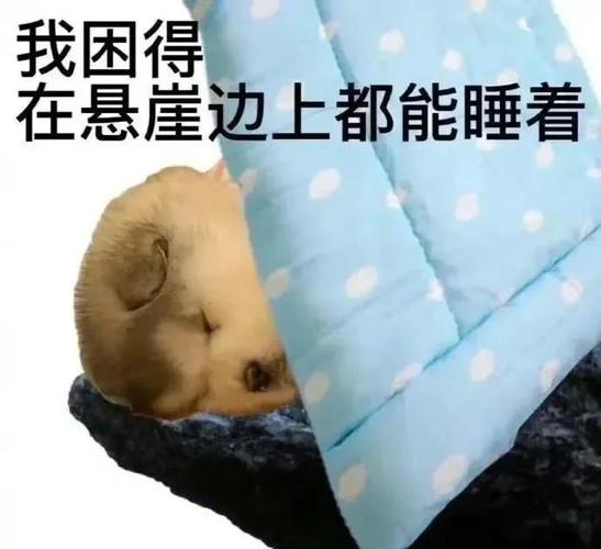 我是主人公，怎样在困境中逆袭成功？