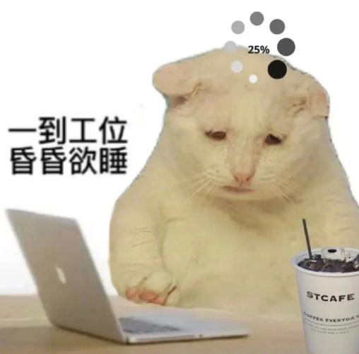 我是主人公，怎样在困境中逆袭成功？