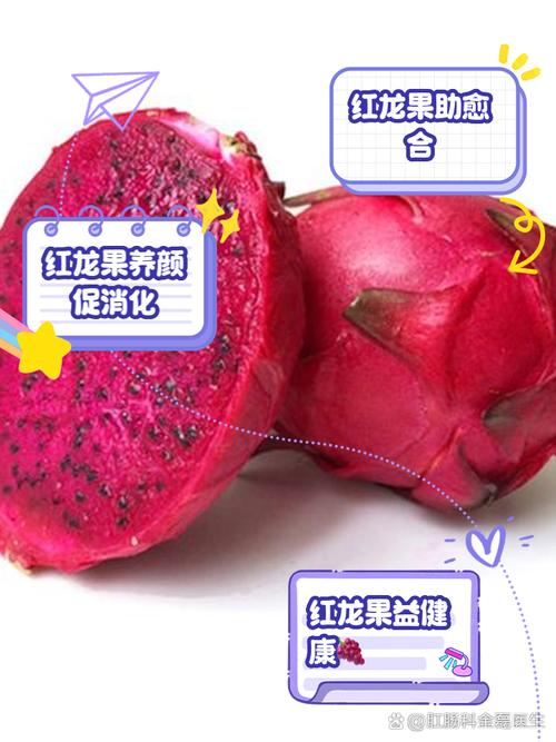 红龙宝宝吃什么才能快速升级？喂养技巧大公开！