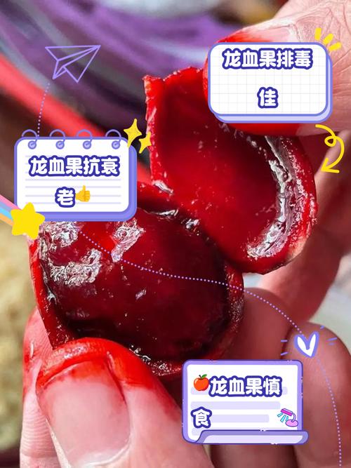 红龙宝宝吃什么才能快速升级？喂养技巧大公开！