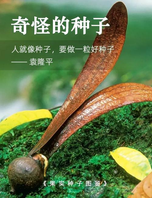 种子3为什么被称为神作?盘点它必看的3个理由!