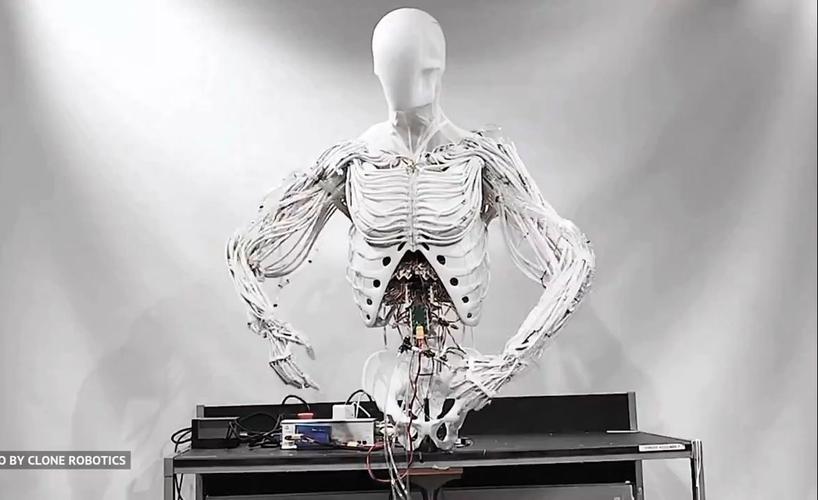 克隆机器人好处是什么？省时省力提升效率指南！