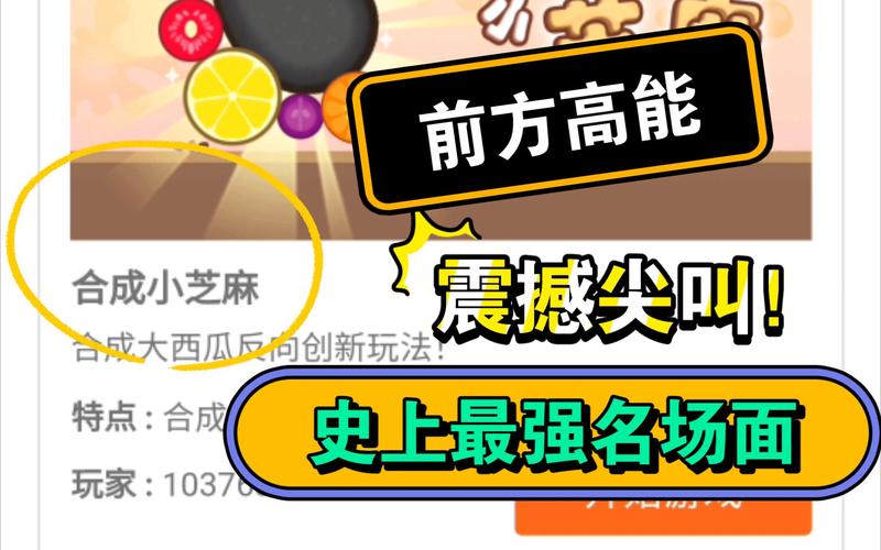 新手怎么玩合成小芝麻？这10个秘诀助你快速上手