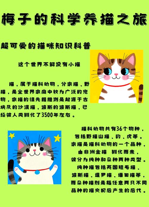 超级猫到底讲了什么故事?这个剧情解析很全面!