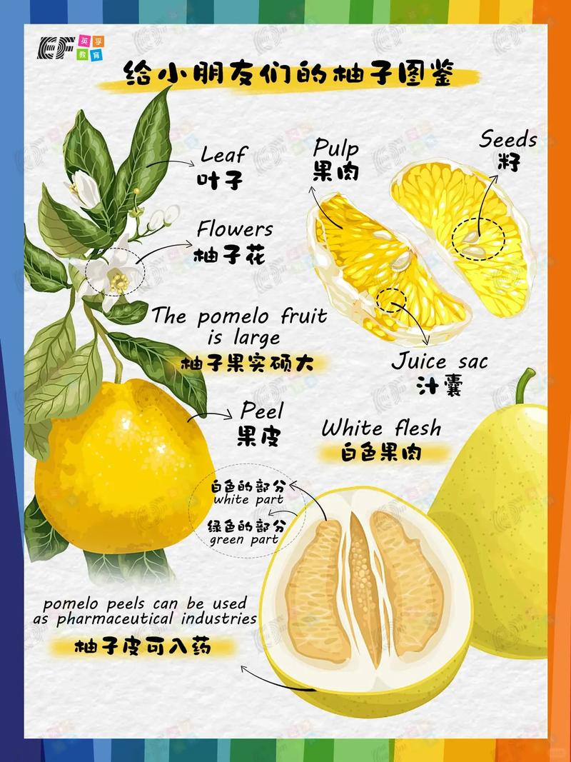 柚子阅读有哪些特色功能？这几个功能帮你轻松追书！