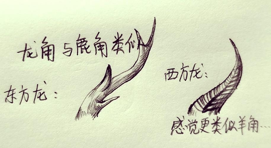 黑角龙怎么打？新手必备的快速讨伐技巧，教你轻松过关！