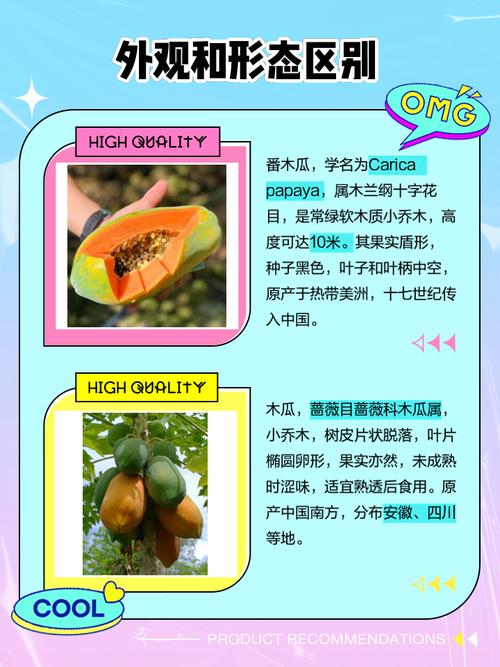 番木瓜生吃还是熟吃好？不同吃法营养价值有何不同？