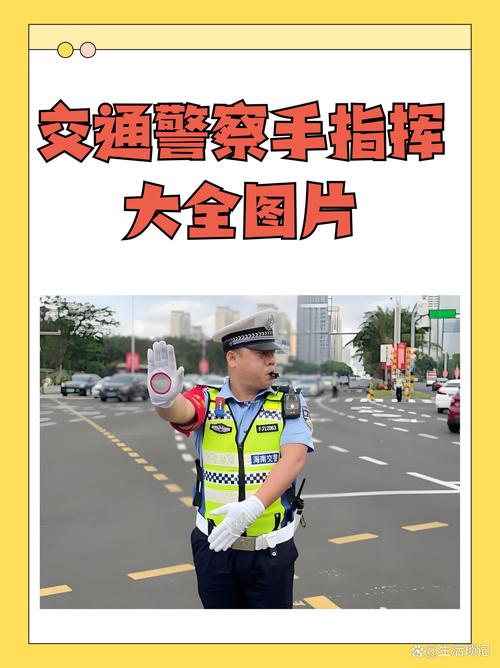 想当交通指挥官咋办？这些条件要满足！