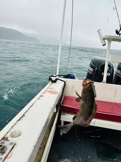 第一次体验深海钓鱼多少钱？真实费用价格大公开！