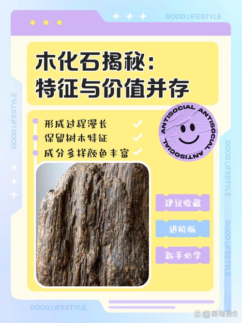 极品木灵石现在价值多少钱？最新市场价格告诉你答案！