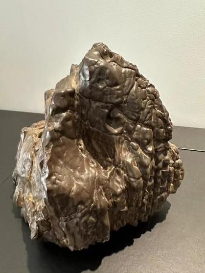 极品木灵石现在价值多少钱？最新市场价格告诉你答案！