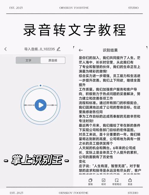 录音啦的语音转文字功能强吗?专业人士都在推荐它!