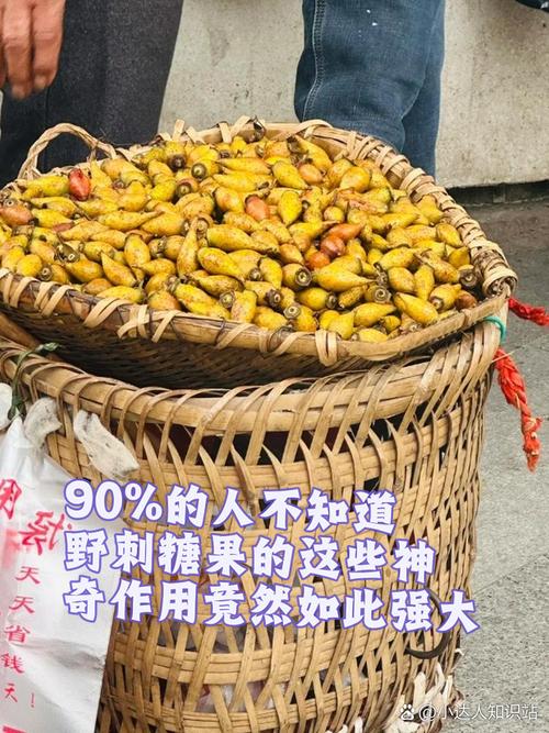 喜欢狂野刺的人还看什么片？(推荐几部设定硬核又刺激的类似好电影)