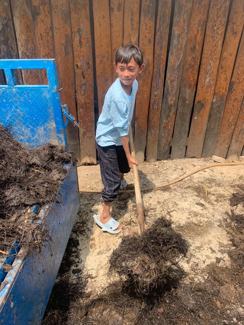 掏粪男孩的真实身份是什么？深入了解他们背后的故事！