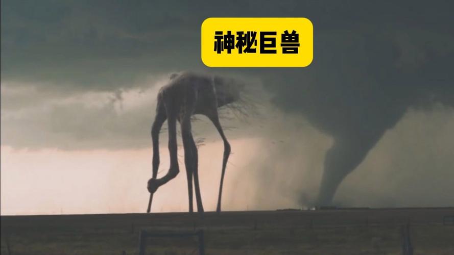 捕获未知生物最新