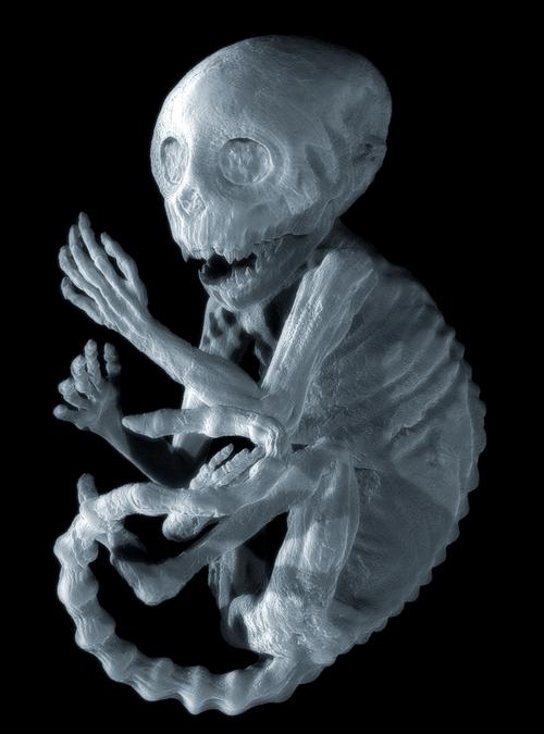 捕获未知生物最新