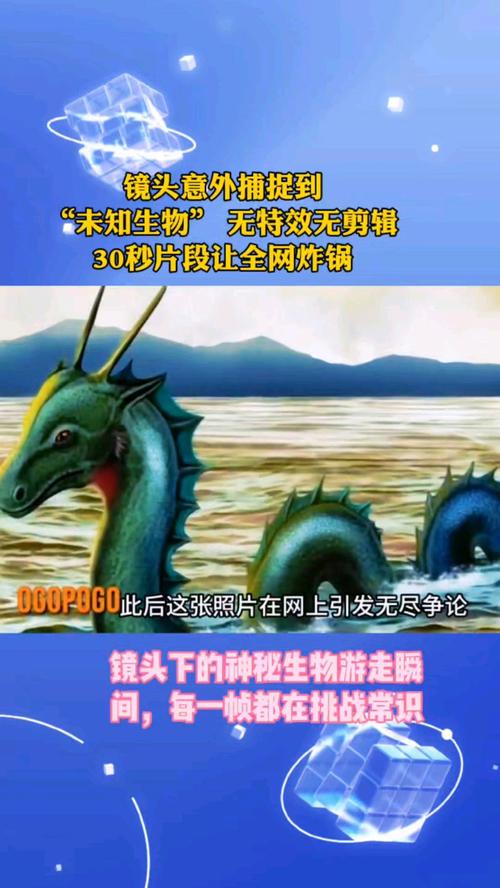 捕获未知生物最新版本是多少？现在最新版本来啦