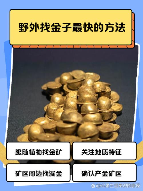 野外哪里可以找到金瓢虫？抓住这个季节去这些地方找！