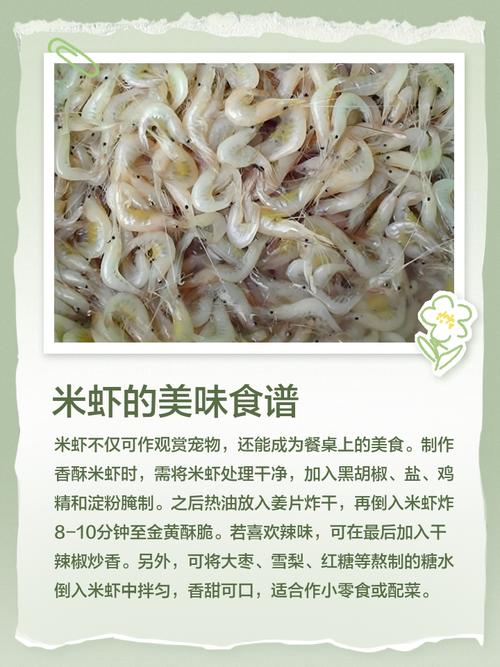 虾米精选集值不值得听?听听内行怎么说!