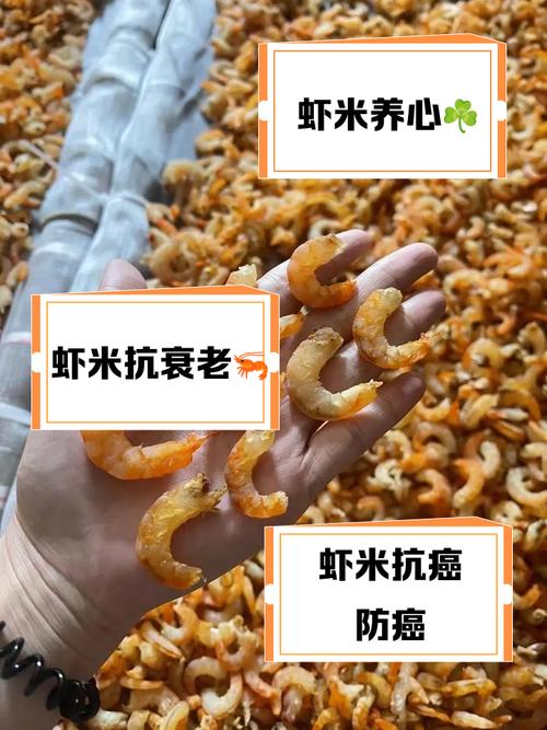 虾米精选集值不值得听?听听内行怎么说!