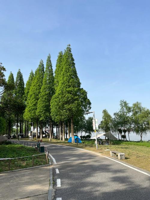 杨梅洲有什么好玩的？这份最新旅游攻略请你收好！