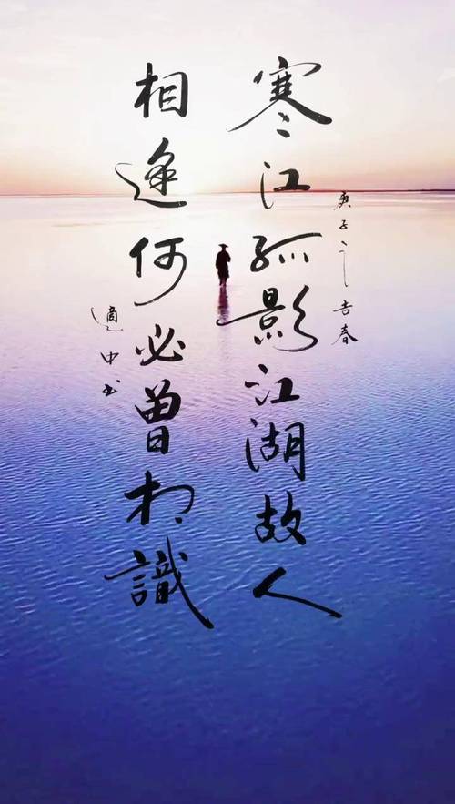 寒江孤影江湖故人相逢何必曾相识是什么含义？(简单口语解析古风情感)