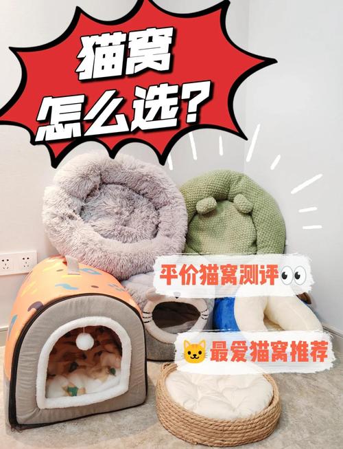 喵窝管家到底是什么?(猫奴必备的智能养猫神器)