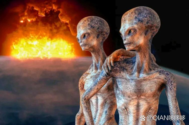 布万加到底是谁？深入解读他的完整背景故事与设定！