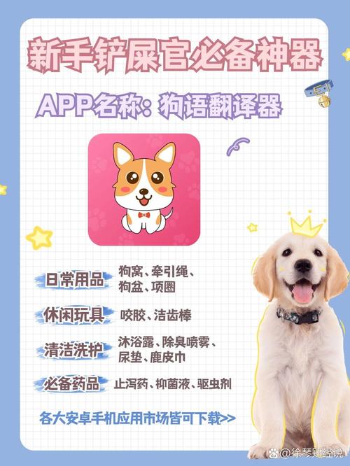 狗语翻译器怎么选？买前看清这几点关键