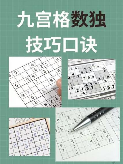 独数计算器怎么用？简单5步教程新手快速上手！