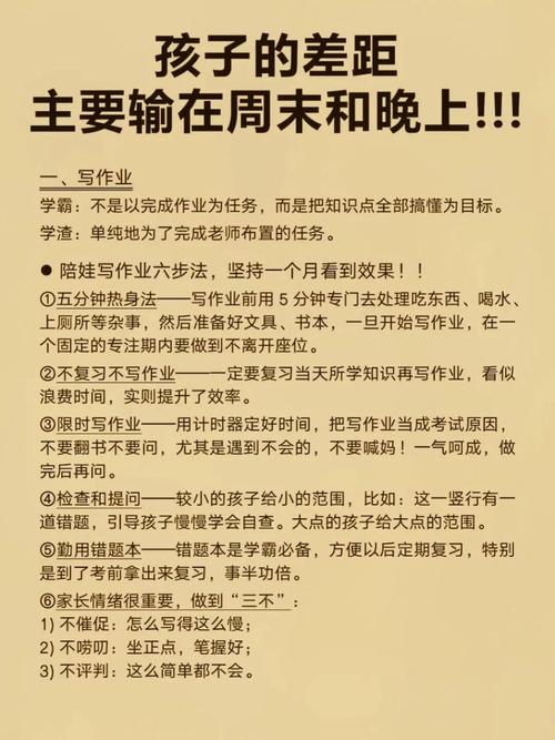 作业疯了新手入门攻略：这些技巧你一定要知道！