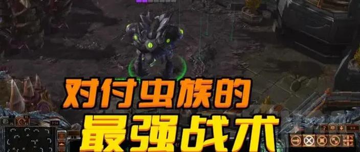 高阶虫族战术如何应用？职业玩家分享实战经验！