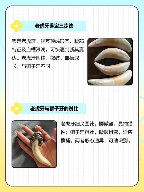 虎牙一起看有哪些玩法？不止同屏还能聊天互动哦！