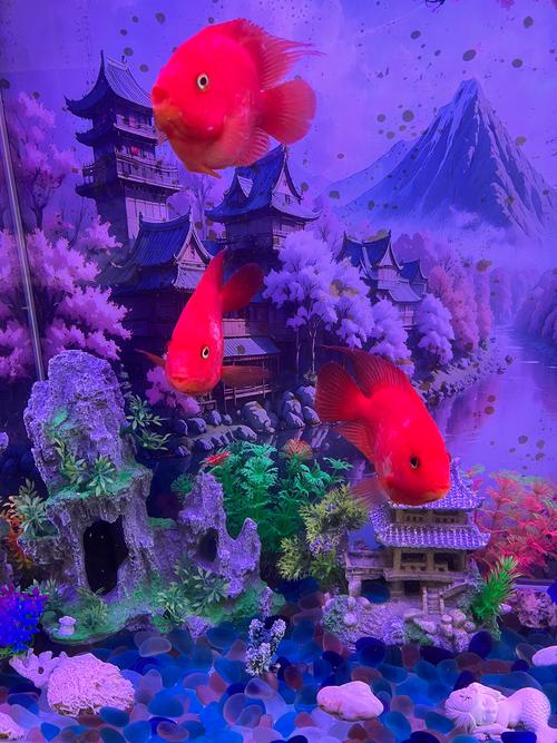 2024年最新的5dy资源汇总！手把手教你如何快速获取全部内容！